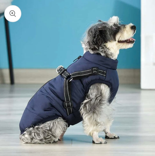 Honden Jacket Waterdicht