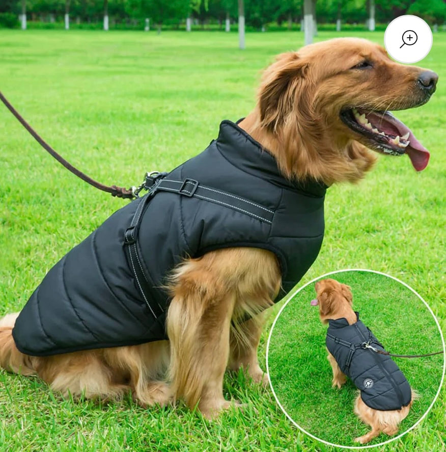 Honden Jacket Waterdicht