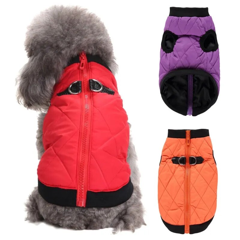 Winterjas Voor Honden