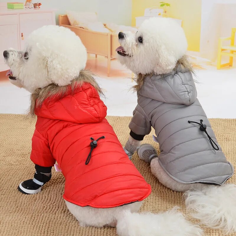 Honden Winterjas