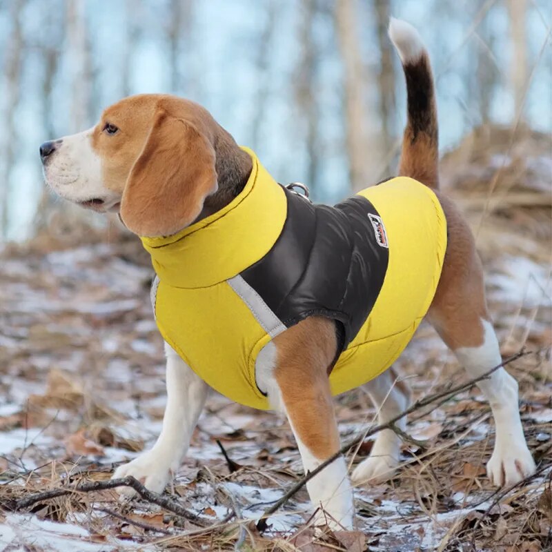 Waterdichte Jas Voor Honden