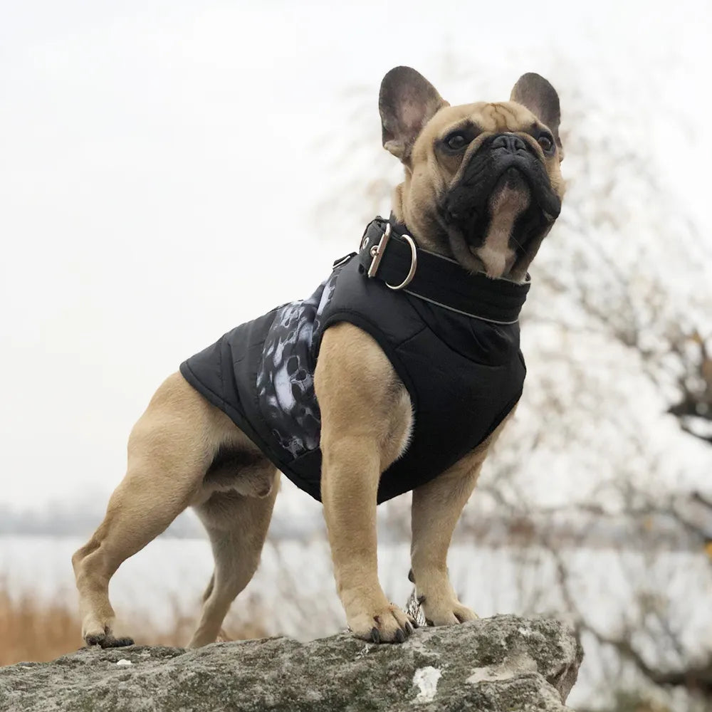 Warme Winter Coat Honden