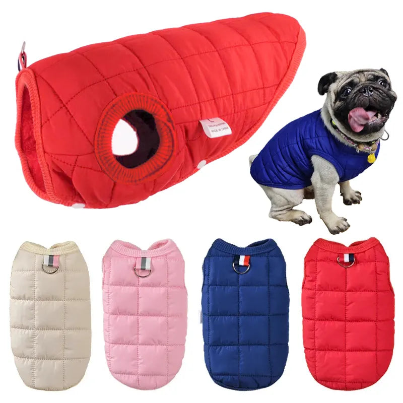 Winter Jacket Honden