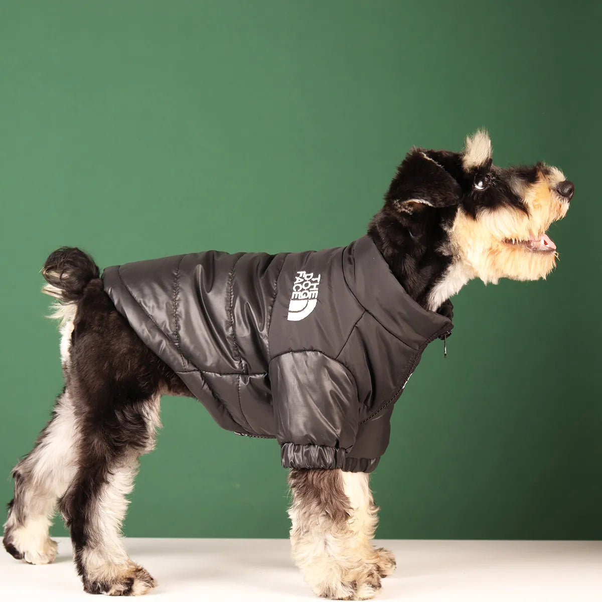 The Dog Face Winddichte/Waterafstotende Coat Honden