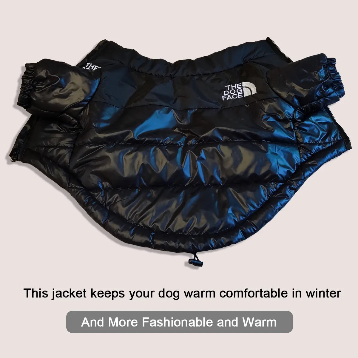 The Dog Face Winddichte/Waterafstotende Coat Honden